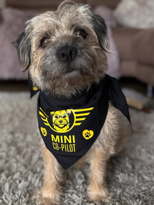 Co-Pilot Bandanas