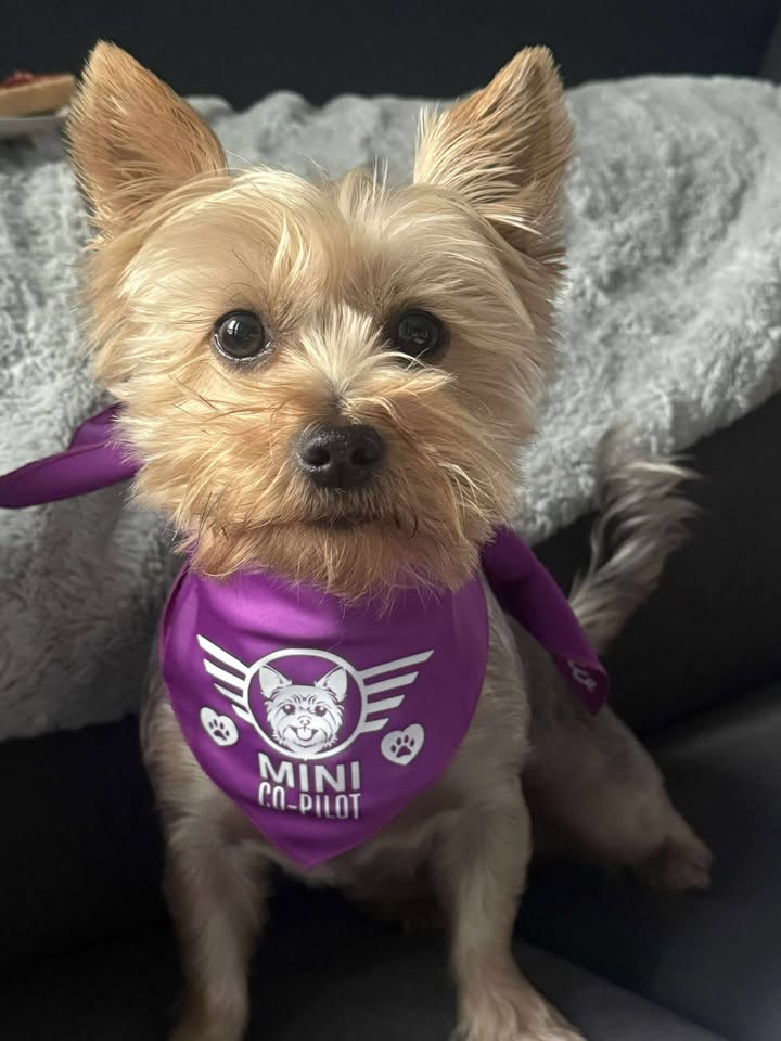 Co-Pilot Bandanas