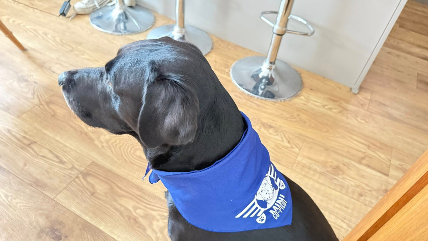 Co-Pilot Bandanas
