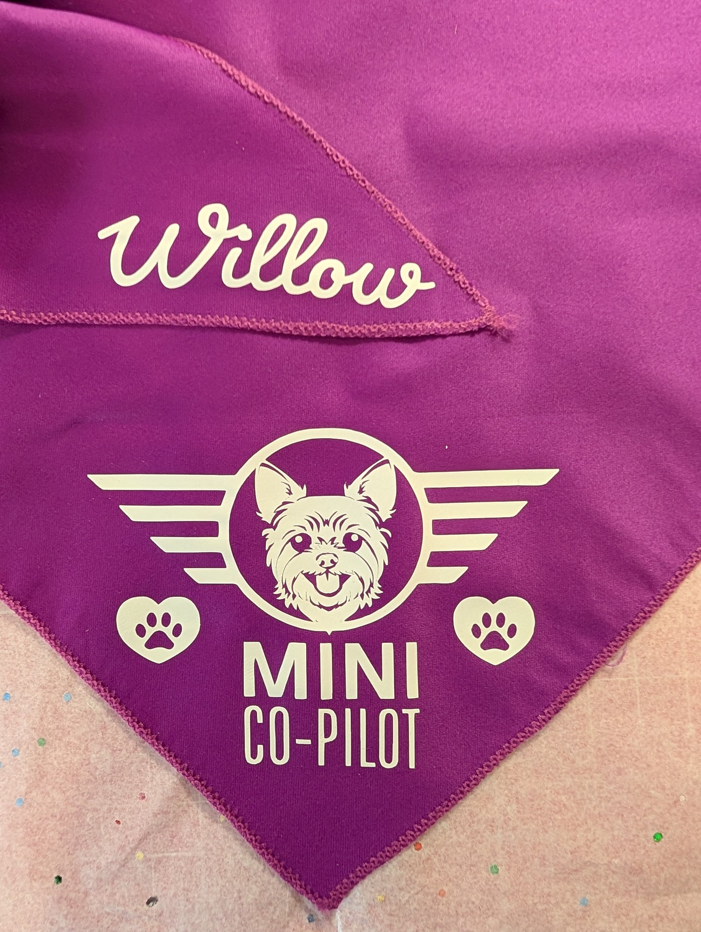Co-Pilot Bandanas