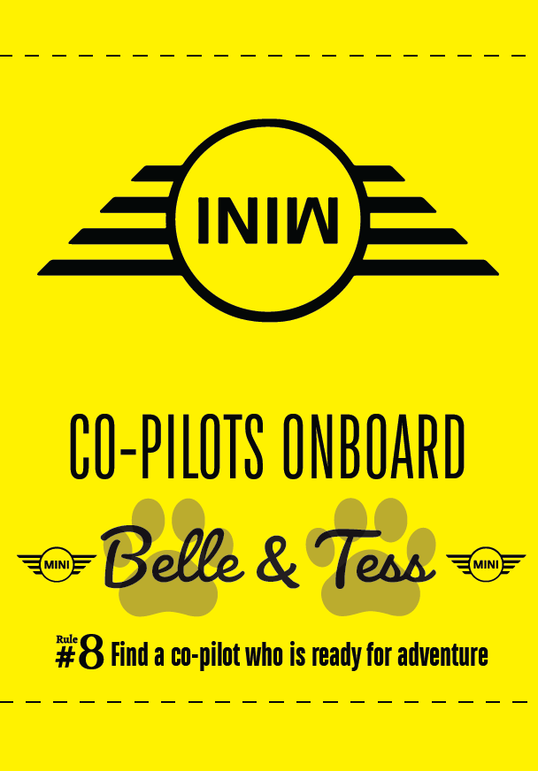 MINI Co-Pilot Tags