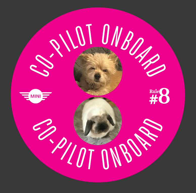 Co-Pilot Stickers YOUR PHOTO