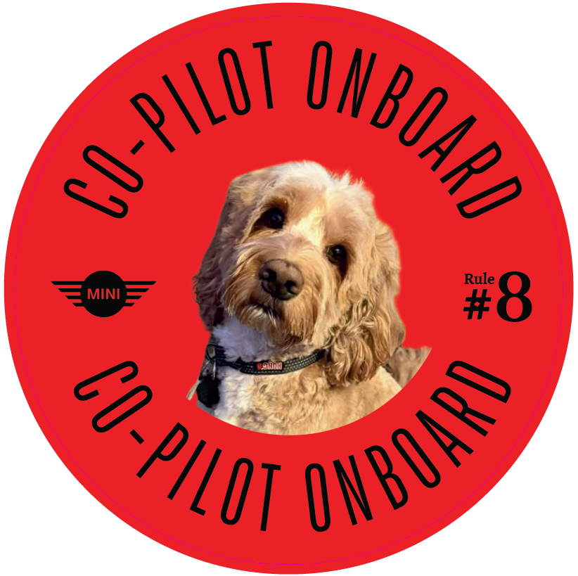 Co-Pilot Stickers YOUR PHOTO