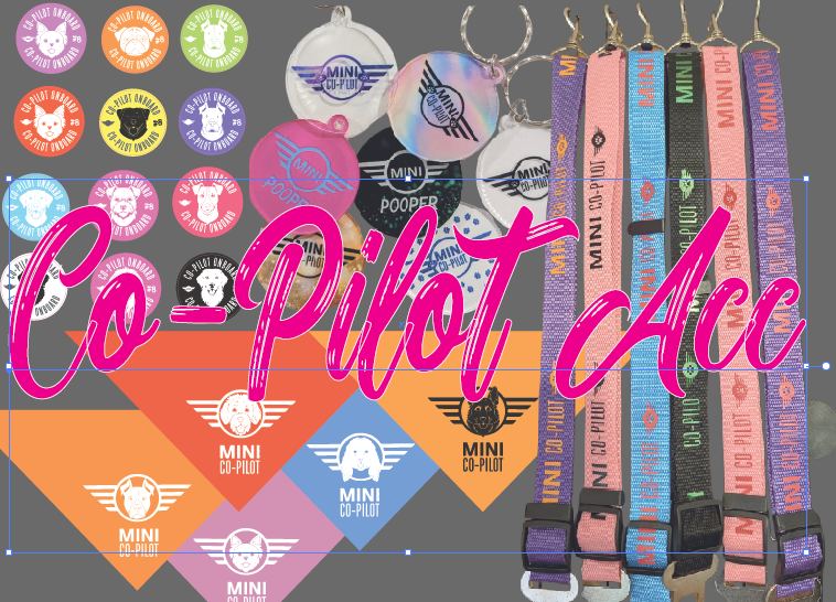 Co-Pilot Accessories