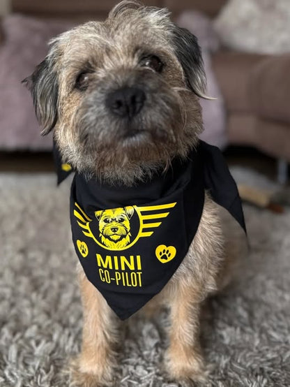Co-Pilot Bandanas