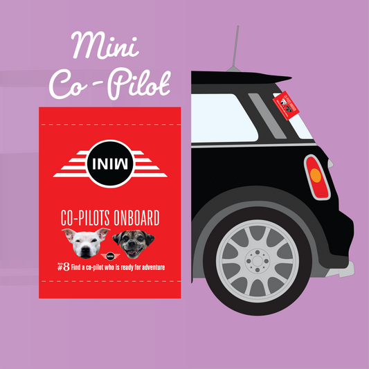 MINI Co-Pilot Tags