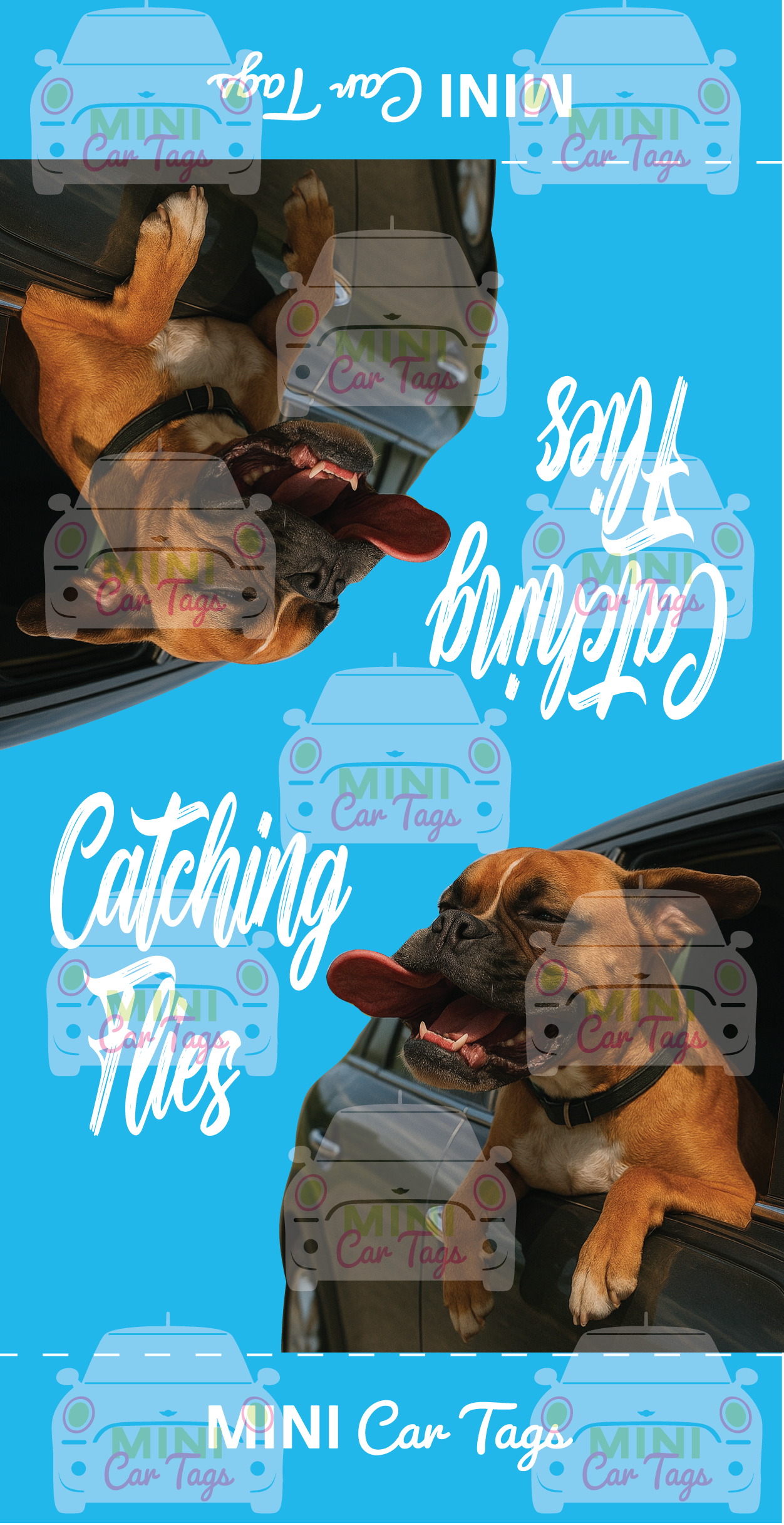 Sh*ts & Giggles Tags