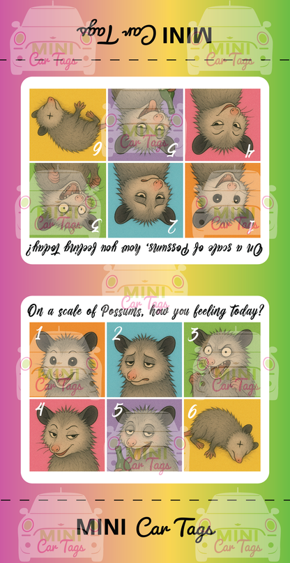 Sh*ts & Giggles Tags