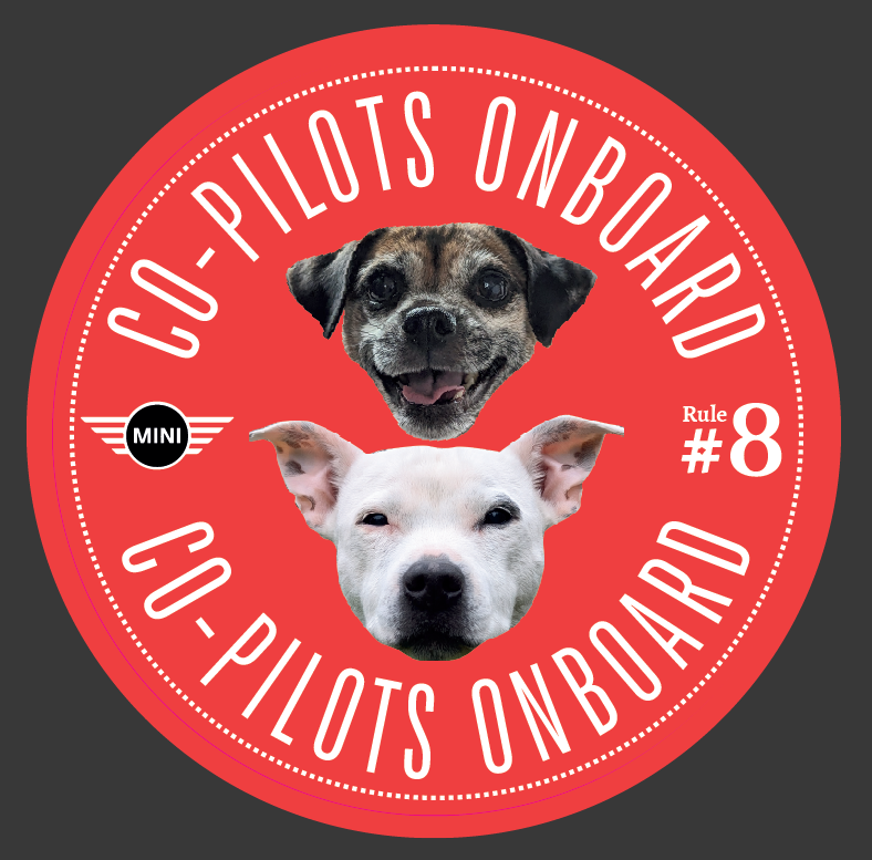 Co-Pilot Stickers YOUR PHOTO