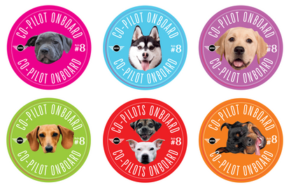 Co-Pilot Stickers YOUR PHOTO