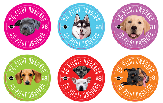Co-Pilot Stickers YOUR PHOTO