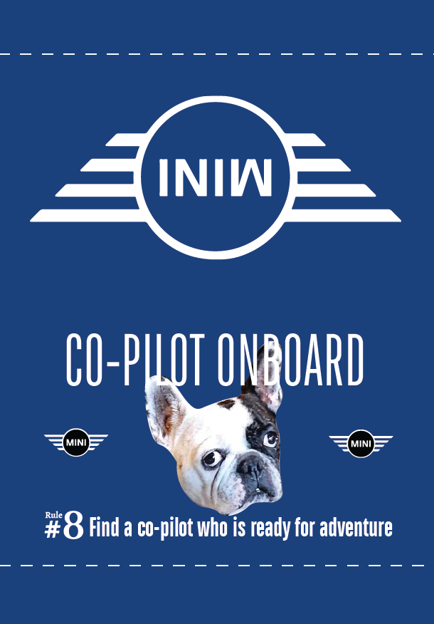 MINI Co-Pilot Tags