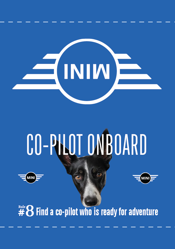 MINI Co-Pilot Tags