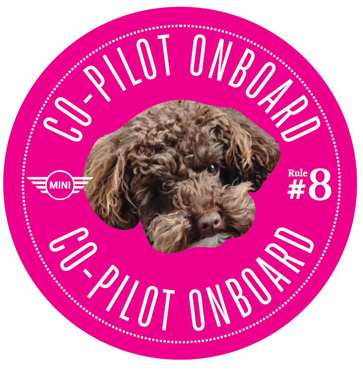 Co-Pilot Stickers YOUR PHOTO