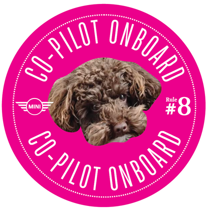 Co-Pilot Stickers YOUR PHOTO