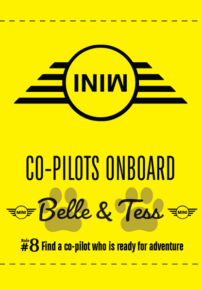 MINI Co-Pilot Tags