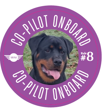 Co-Pilot Stickers YOUR PHOTO