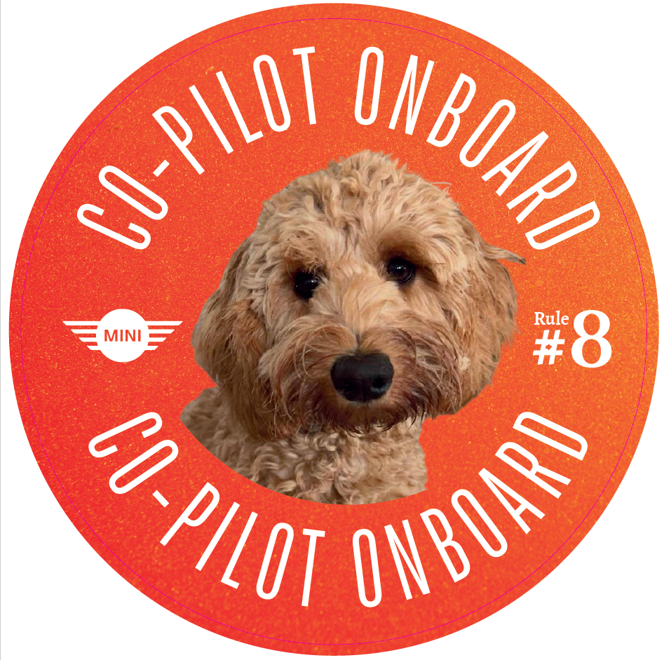 Co-Pilot Stickers YOUR PHOTO