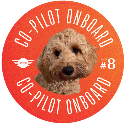 Co-Pilot Stickers YOUR PHOTO