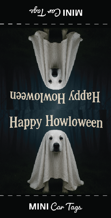 Halloween REMOVABLE Tags!!