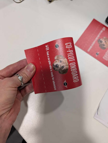 MINI Co-Pilot Tags