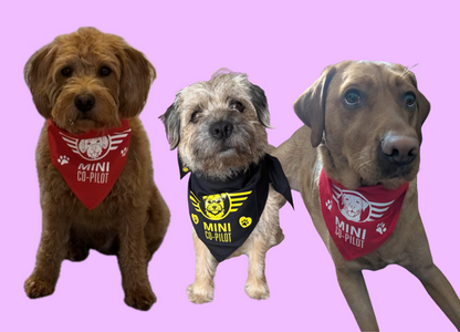 Co-Pilot Bandanas