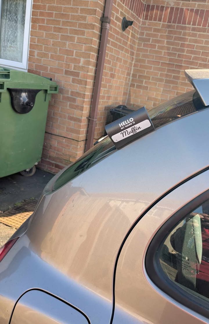 Custom Brand / Your Name - Image 3