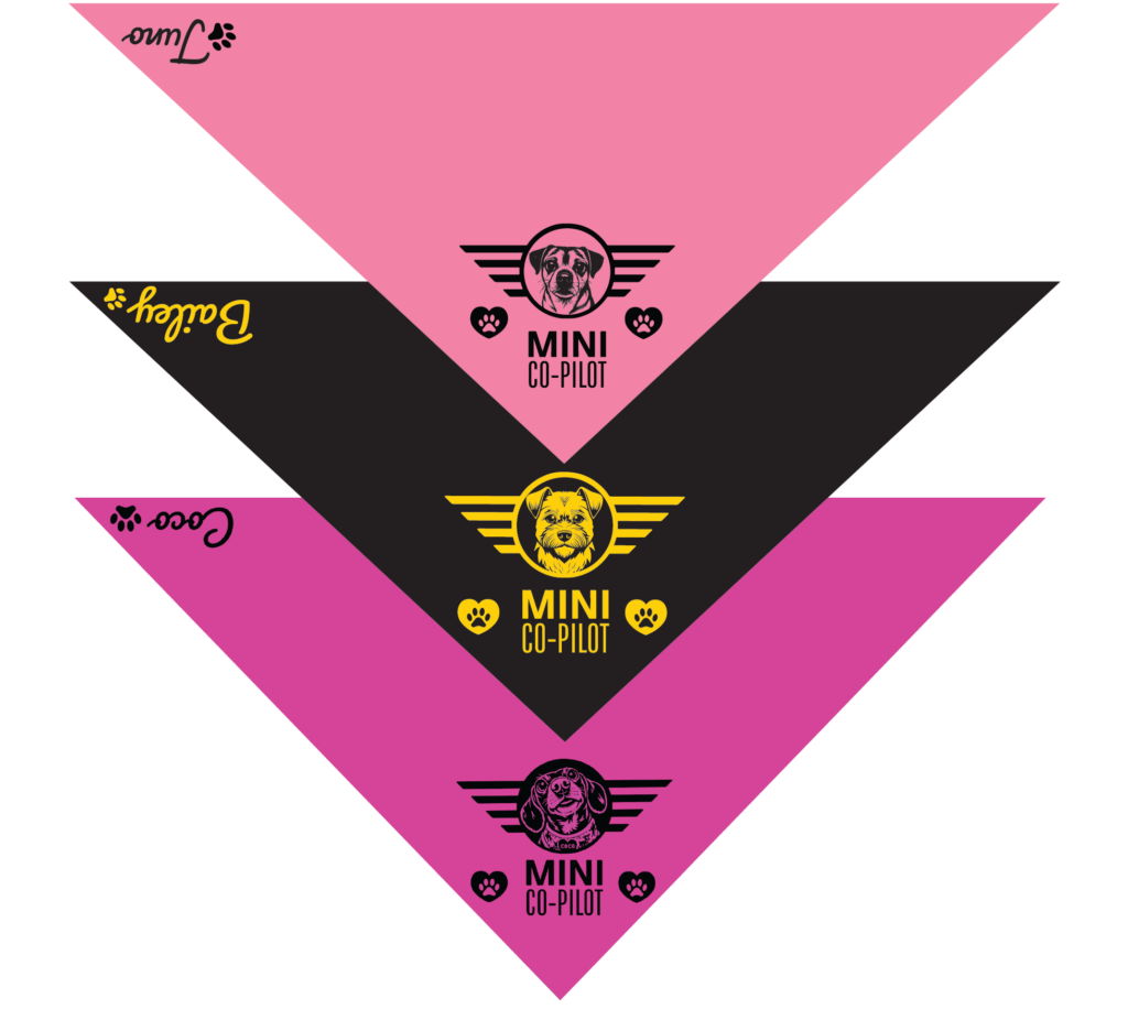 CO-PILOT BANDANAS