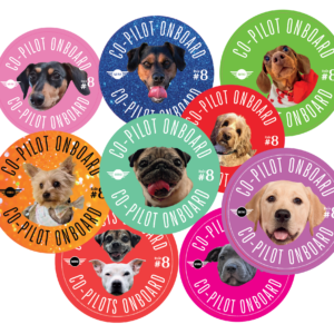 Custom Co-Pilot Onboard Sticker