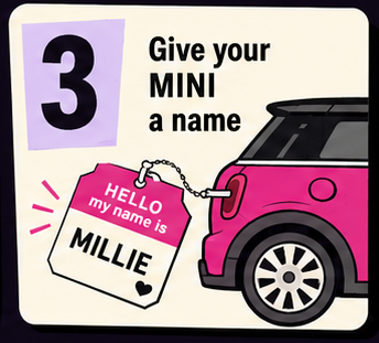 Rule 3: Give your MINI a name